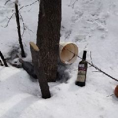 � ������������ ������� ������� ����� �� ����� ���������� � �������� ��������� ��-��� ������ ����� ����� (����)