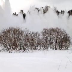 � ����-������� �������� �� �� ������ (����, �����)