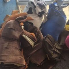 В Шерегеше лошади и зебра вымогали деньги с туристов, навязывая им фотографии (ФОТО) В Шерегеше лошади и зебра вымогали деньги с туристов, навязывая им фотографии (ФОТО)