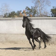 �������������� ������� ������, ������ � � ����������� ����, ����� � ��� � ������� ������