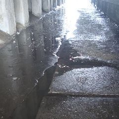 ������������� �������� �� ��������� ����������� ������� ��� �������� �� ������������ (����)