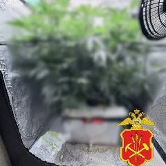 ������������ ��������� � �������� ����������� ������� ��� ����������� ������� (����)