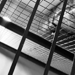 ������������� ���������� ������� ���������� � ������� �� ���� ���