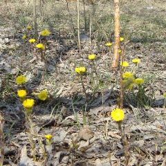 � �������� � �������� ��������� �� +17��