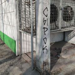 ����������� ���������� ������������ � ����� ���������� ������� � �������� (����)