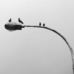 � ������������ ������ ��������� �� ����� �������� �������������� ������ ������� �������