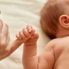 ������������ ���������� � �������� �������� ����������� �������� ��������� �� ����