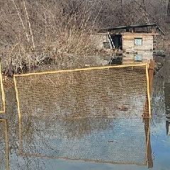 ������� ���� �� ��������� ���������� �������� ��� ������������