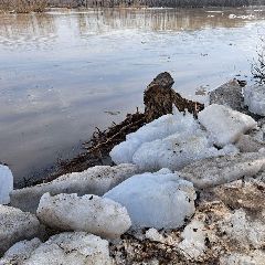 ������ ��� ��� �������� �� 08:00 8 ������