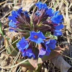 К выходным в Кузбассе значительно похолодает К выходным в Кузбассе значительно похолодает