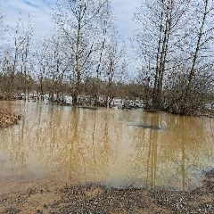 Уровни рек юга Кузбасса на 20:00 8 апреля Уровни рек юга Кузбасса на 20:00 8 апреля