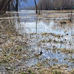 ������ ��� ��� �������� �� 20:00 9 ������