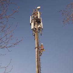 «Пилар» стал лидером башенного рынка по темпам роста и числу вышек — Telecom Daily «Пилар» стал лидером башенного рынка по темпам роста и числу вышек — Telecom Daily