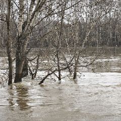 ������ ��� ��� �������� 20:00 11 ������