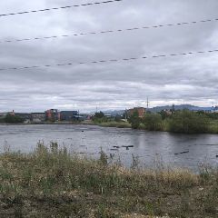 ��� ��������, ��� ���������� ���������� ���������� ����� �������� �� ����������� � ����������� (����)