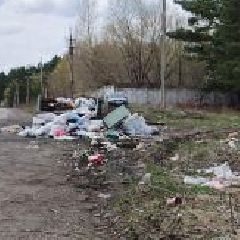 С кемеровчанки, устроившей свалку на своём участке, взыскали расходы на принудительный вывоз мусора С кемеровчанки, устроившей свалку на своём участке, взыскали расходы на принудительный вывоз мусора