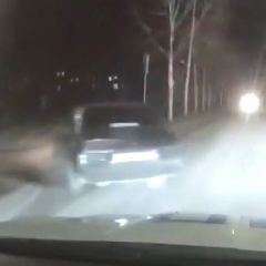 � ������������ ��������� ����� ���, � ����� ������� ����� �� ������, ������ �� ������������������ (����, �����)