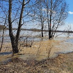 ������ ��� ��� �������� �� 08:00 16 ������