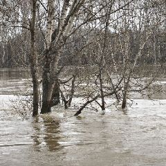 ������ ��� ��� �������� �� 20:00 16 ������