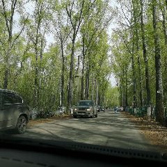 �� �������� ����� ������������ ���������� �������� �� ������������� ������� (�����)