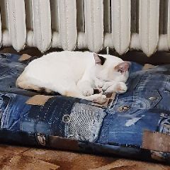 ������������� �������� �� ���������� ������� � ���������� ������� ����