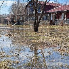 ������ ��� ��� �������� �� 20:00 18 ������