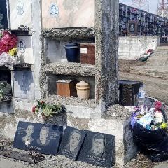 ����� �� ��������: ����������� ����������� ��������� �������������� (����)