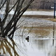 ������ ��� ��� �������� �� 08:00 22 ������