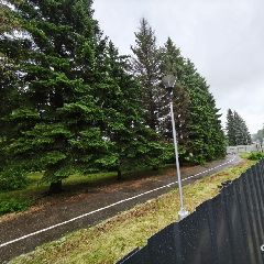 ��� ������ ����������� ������� �������������� ��������� ������������ ���������� �������������� ������ ��������������