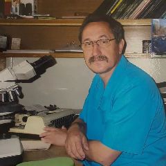 � ������������ ���� �� ����� ����-�������������� ������� �������