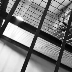 ���������������, ����������� ����� ����������� � ������ �������� ���������� ��������� ������, ���� ����