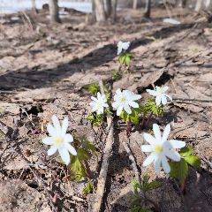 ������������ ��� ������ � ����� �����������