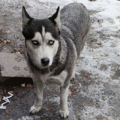 ������������ � �������� ����� ���������� ������ (����)