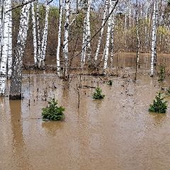 ������� ��� ��������, ����������� � ���� �����������, ������ ���� �������� � ��������� ���������