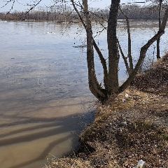 ������ ��� ��� �������� �� 20:00 26 ������