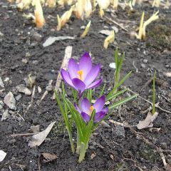 � �������� � ����� ������ �������� ��������� ����