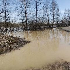 ������ ��� ��� �������� �� 20:00 27 ������