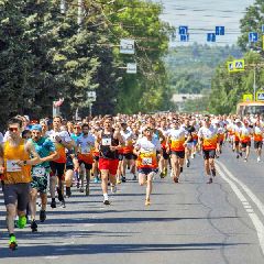 � ������������ ������� 24 ���