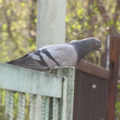 � �������� ��������� ������ ���-���