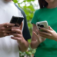 ������� ���������� ��������� �� �������� ���������� ��������� � ������������ Vigo