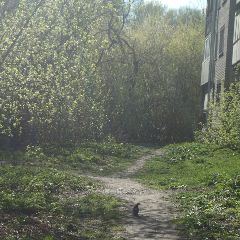 �� ���� ������ � ������� ����� ����� ����