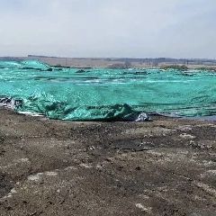 ���� �� ������: ������� ���� ������ ����������� ������ ��������� ����������� �� ���������� ��������� (����)