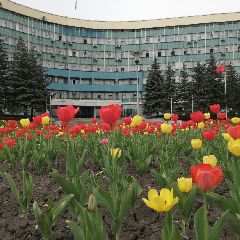 ������� ����� ��� ������ ������������ �������� 85-� ��������� �� ��� ����������� (����)