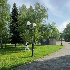 � ������������ �������� ������������ �� ������ ����� � ������