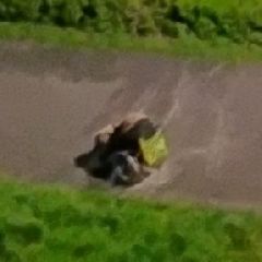 � ������������ ��������� �������-���������� ������ ��� �������� ����� (����)