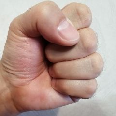 � �������� 17-������ ������ ������ ��������� � ������ � ��� ��������� � ��������