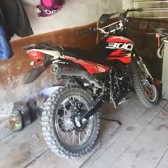 � �������� ������� �� ��������� ���� 17-������� ��������� �� ��������� � ������� (����, �����)