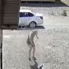 � �������� ����� ������ �����������, ���������� ������ � ���������� � ����� (����, �����)