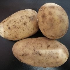 �� �������� �������� � ��������: �� ��������� ����� ����� ��������� ���������