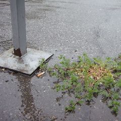 � �������� � ����� ������ ��������� ����, ����� � ����